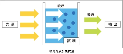 吸光光度計模式図