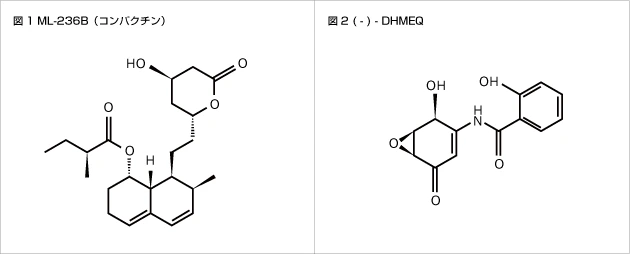 ML-236B（コンパクチン）と(-) - DHMEQ