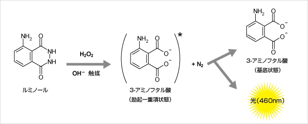 ルミノール発光