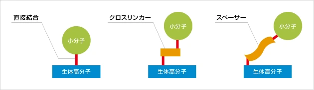 クロスリンカーとスペーサー