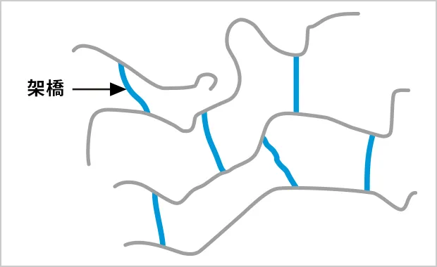 ゴムの構成模式図