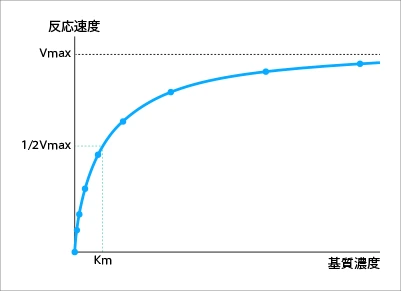 酵素の性質