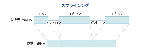 スプライシング