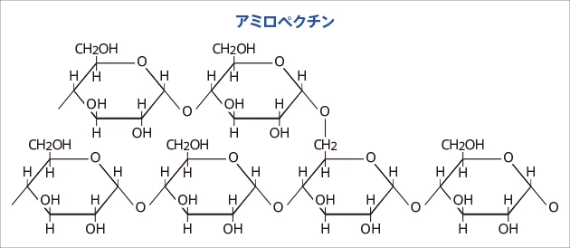 アミロペクチン