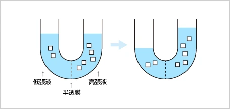 逆浸透水（RO膜処理水）の原理