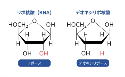 原理