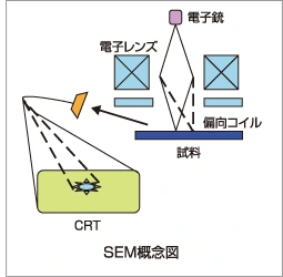 SEM概念図