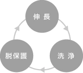 ペプチド固相合成法