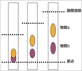 薄層クロマトグラフィー