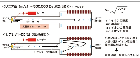 リニア型、リフレクトロン型の原理