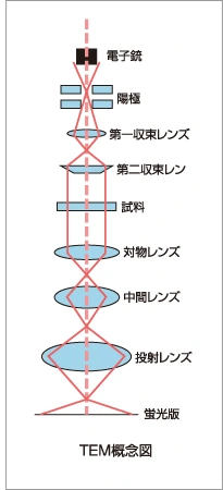 TEM概念図